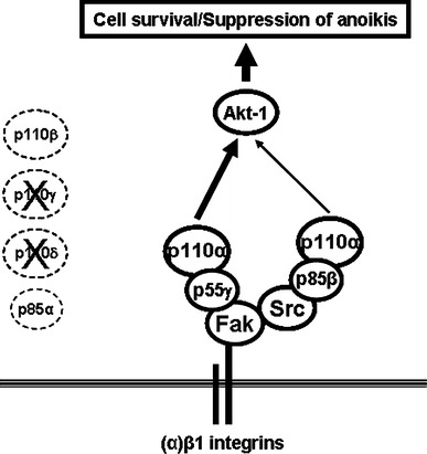 Fig. 8