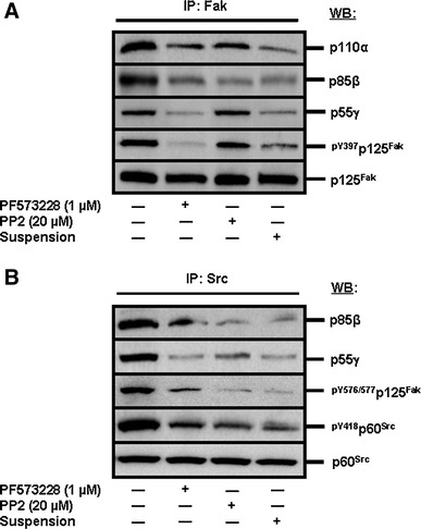 Fig. 7