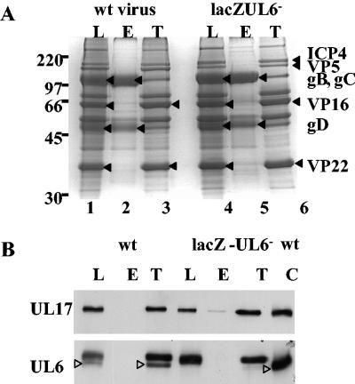 FIG. 9.