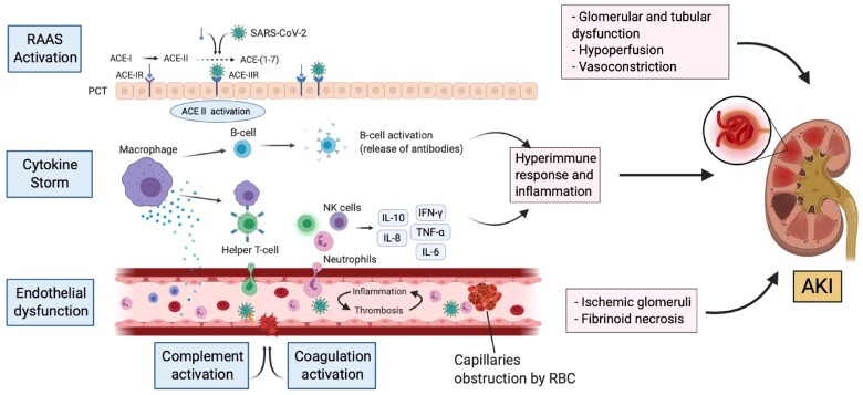 FIGURE 2: