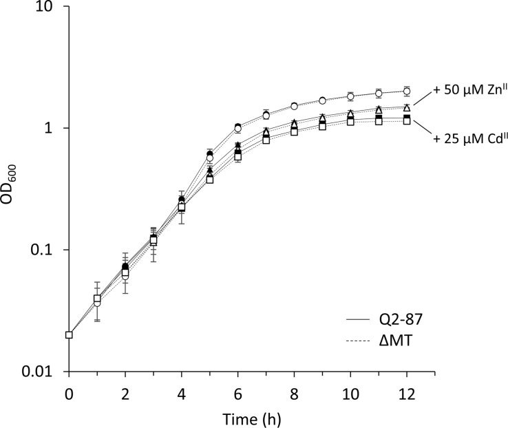 FIGURE 3