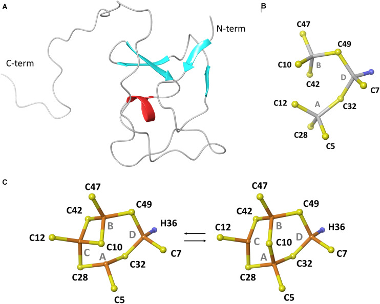 FIGURE 2