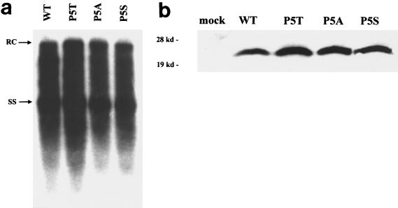 FIG. 5