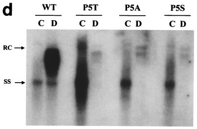 FIG. 5