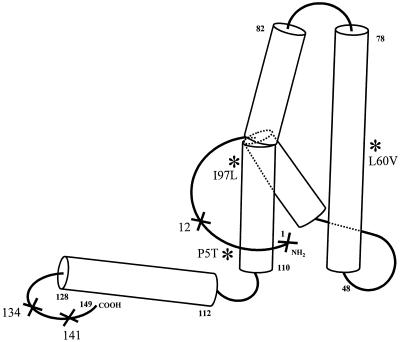 FIG. 6