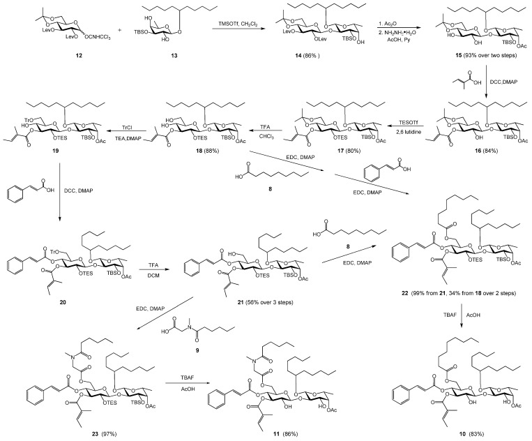 Scheme 1