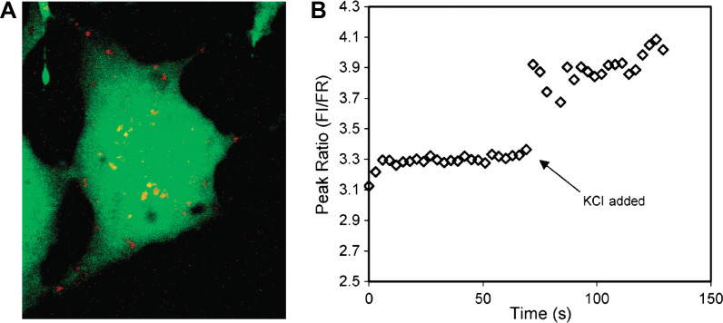 Fig. 10