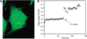 Fig. 10