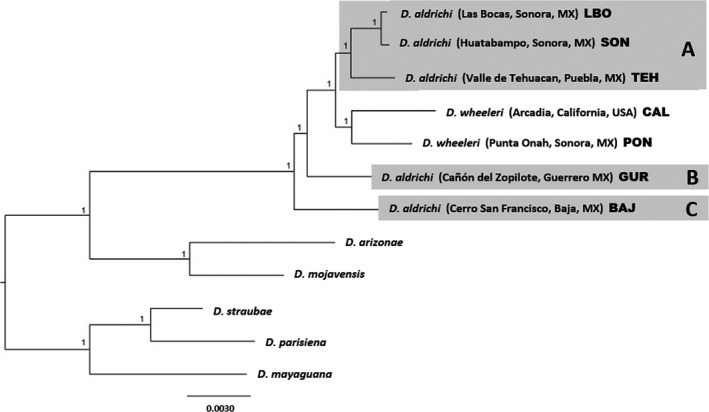 Figure 2