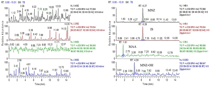 Figure 5