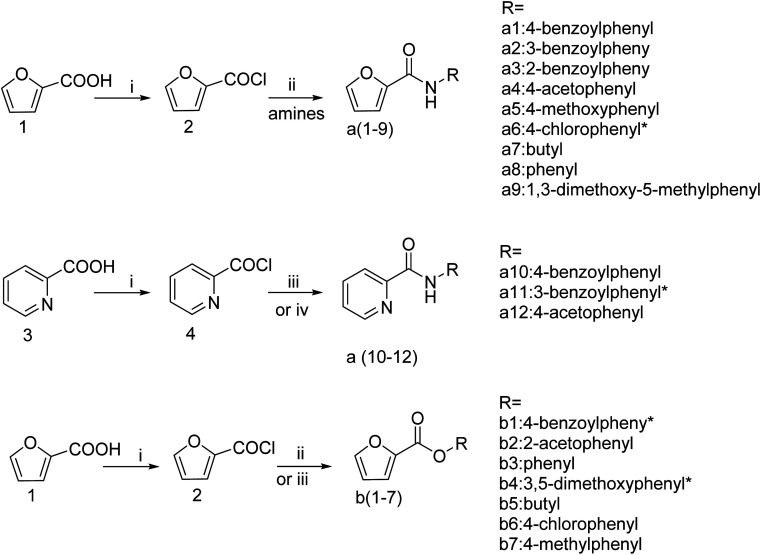 Scheme 2
