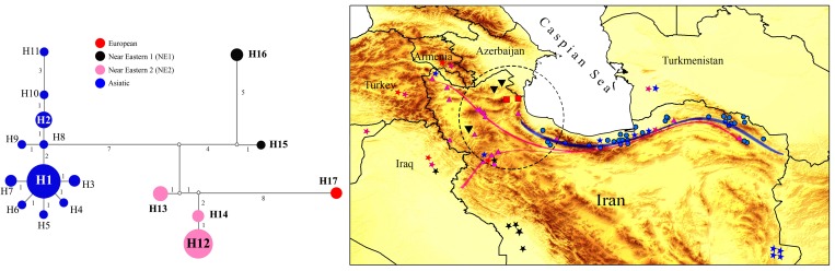 Fig 3