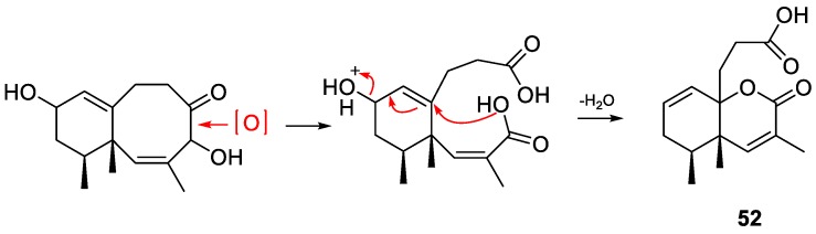 Figure 8