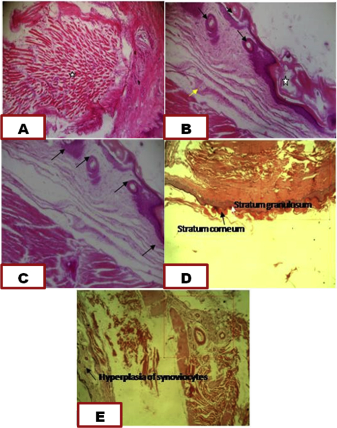 Fig. 8