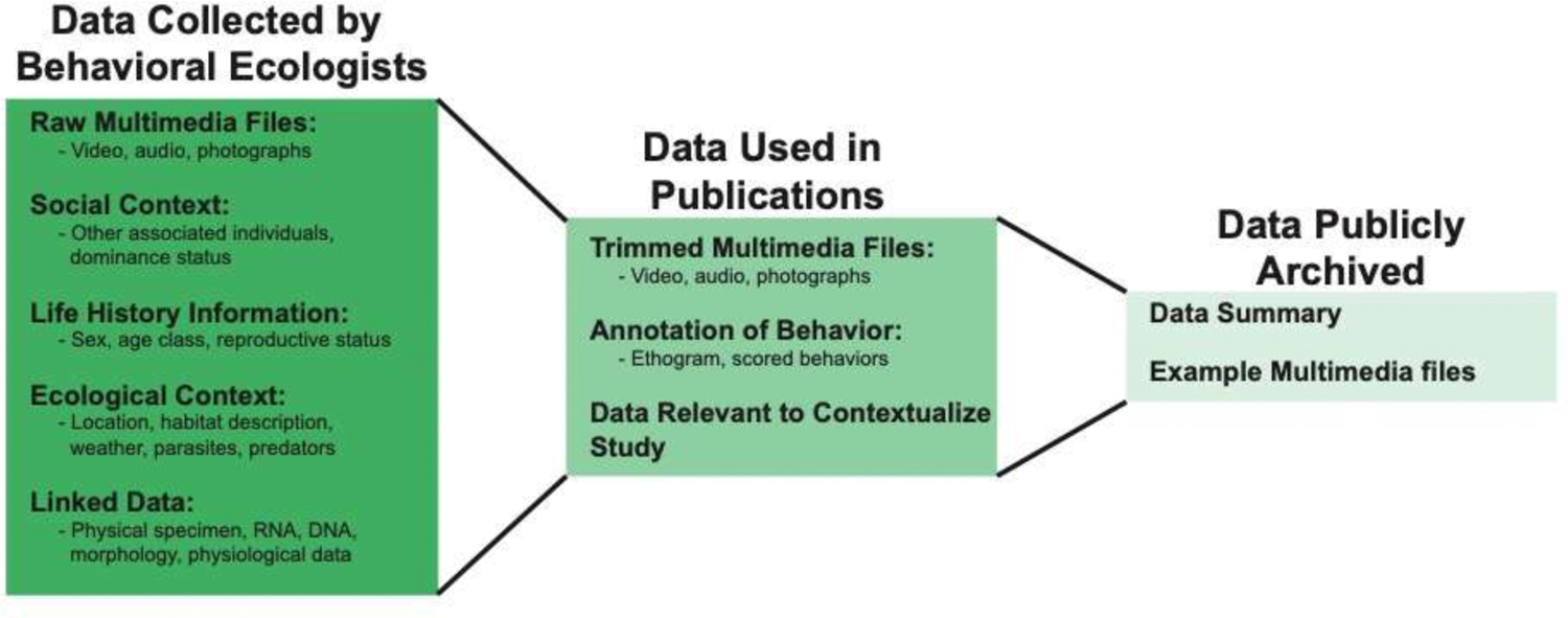 Figure 1: