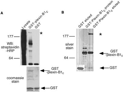 Fig 1.