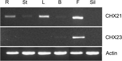 Fig. 3.