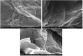 Fig 9