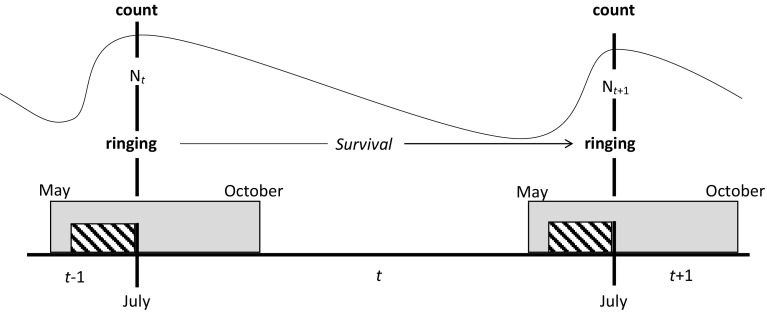 Fig. 2