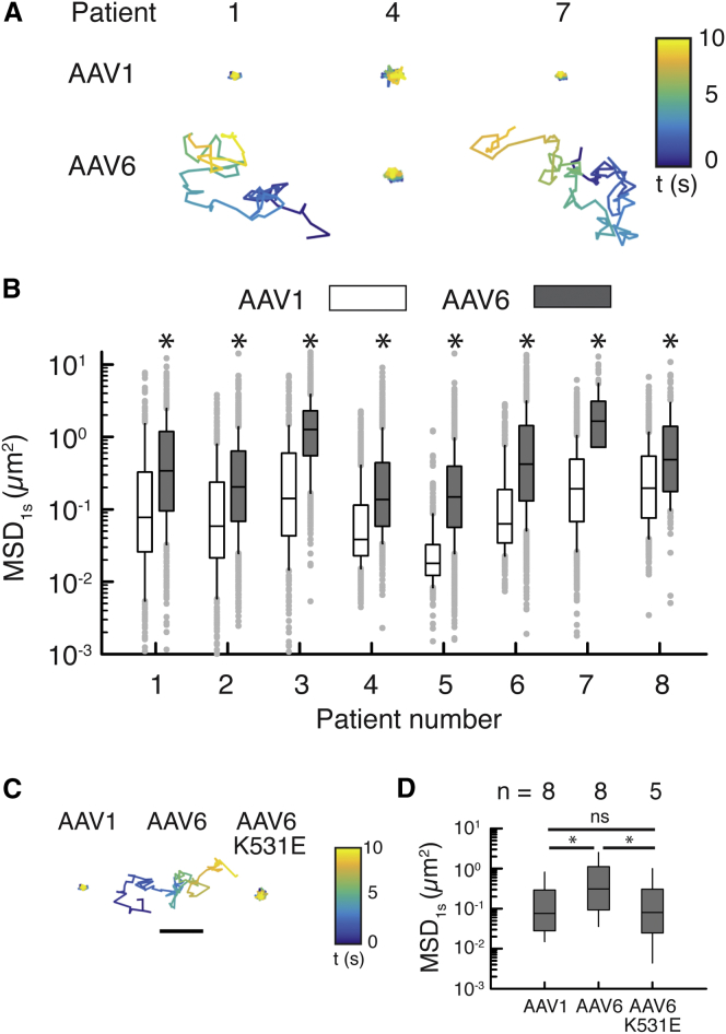 Figure 1