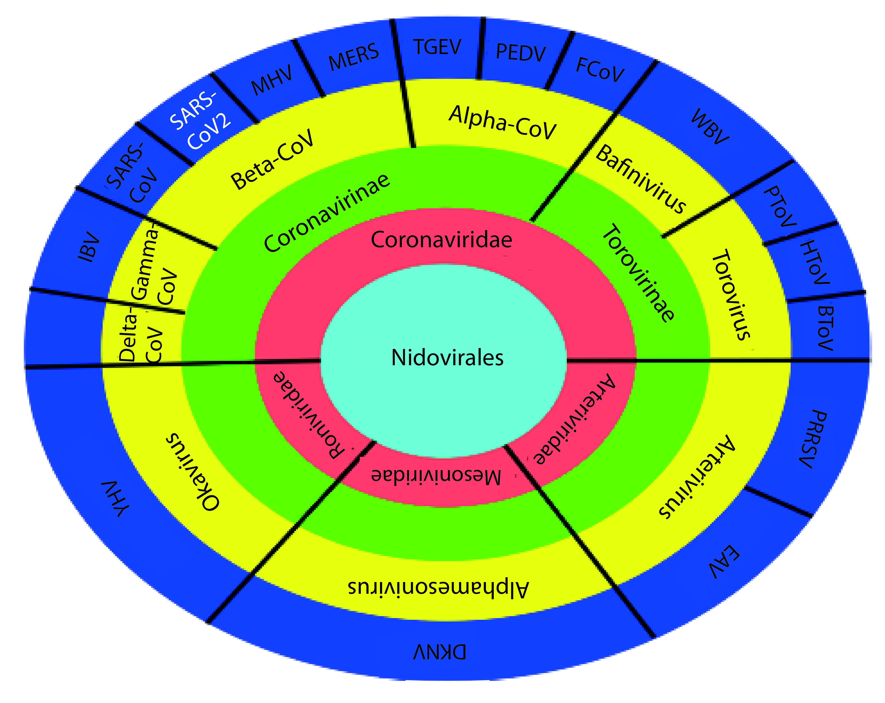 Figure 1. 