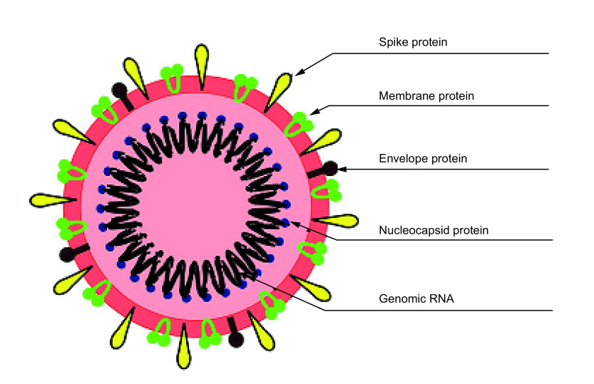 Figure 2. 