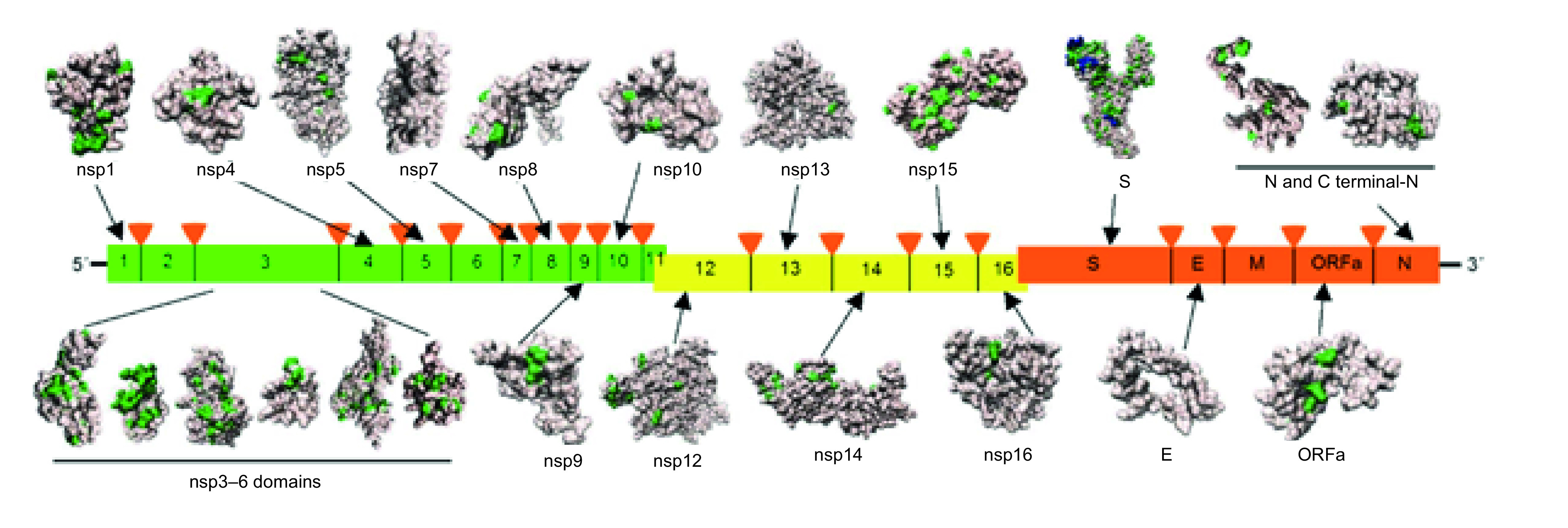 Figure 4. 