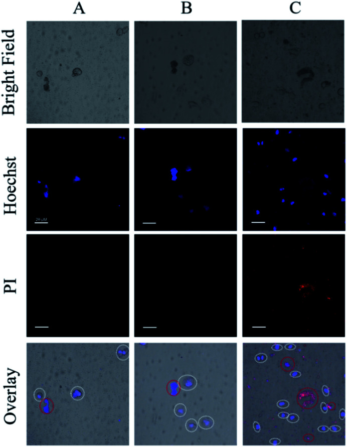 Fig. 7