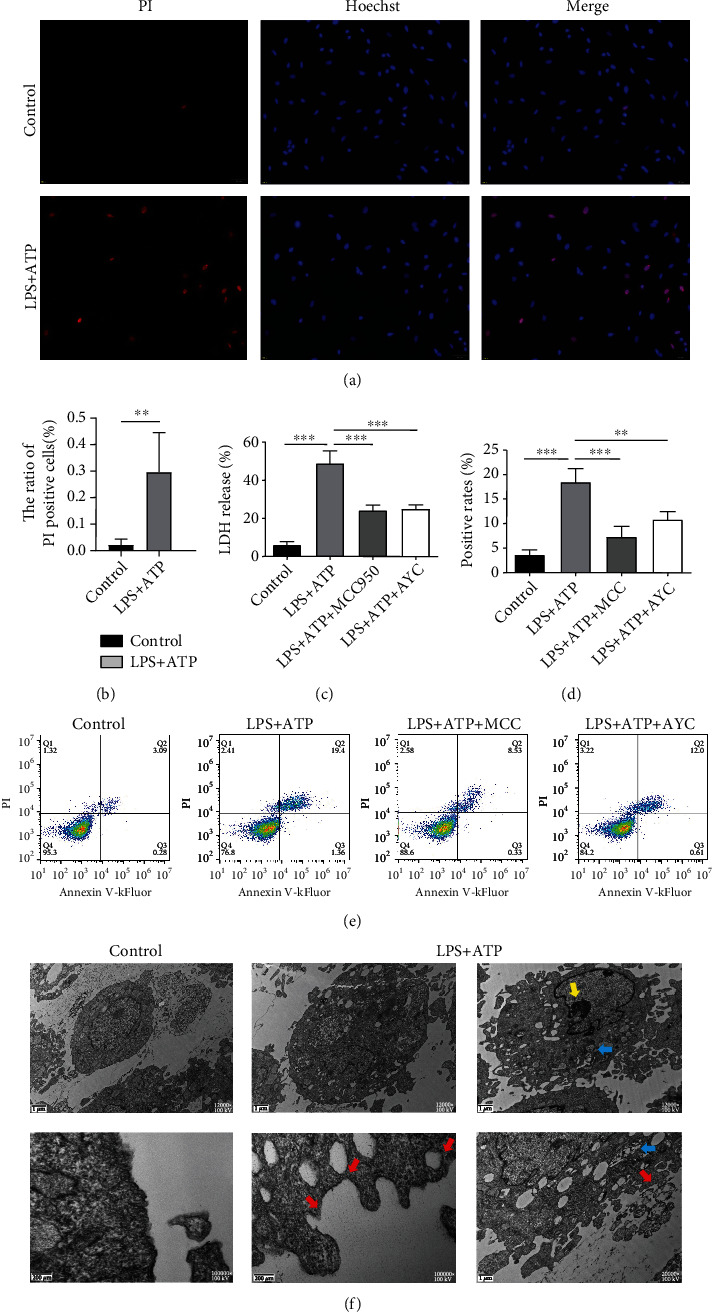 Figure 6