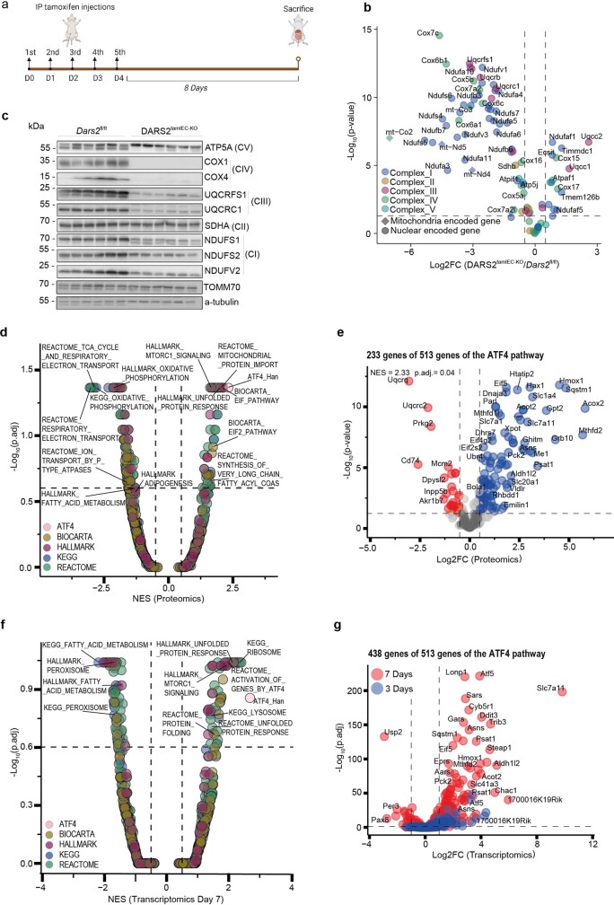 Extended Data Fig. 4