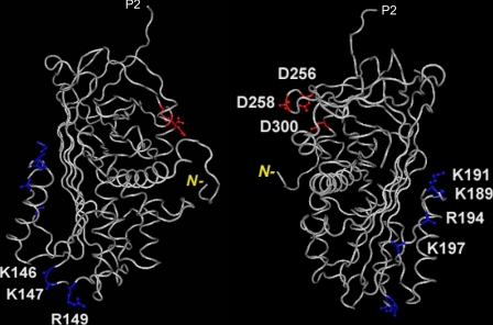 FIGURE 7.