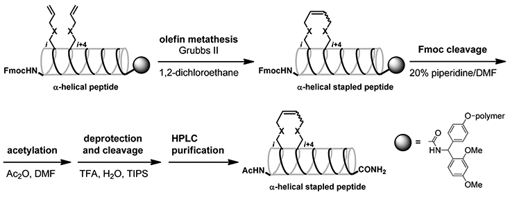 Scheme 1