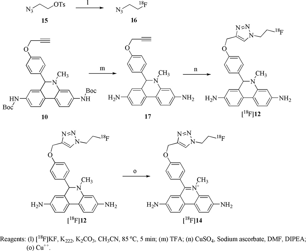 Scheme 3