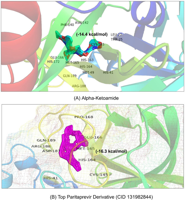 Fig. 3