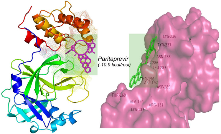 Fig. 1