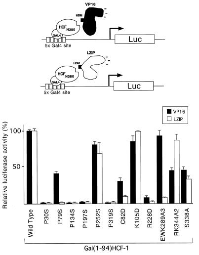 FIG. 7