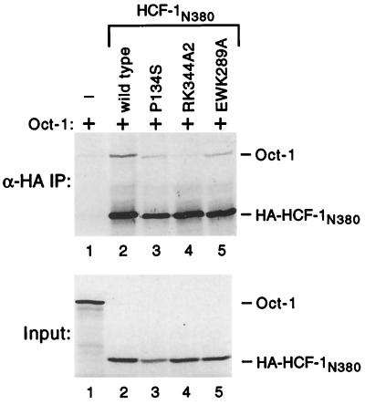 FIG. 6