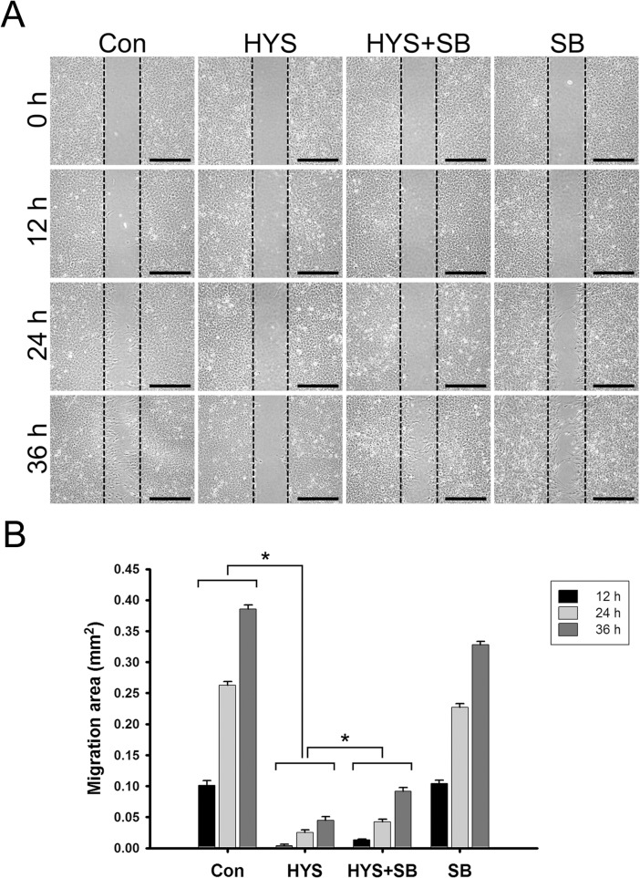 Fig 10