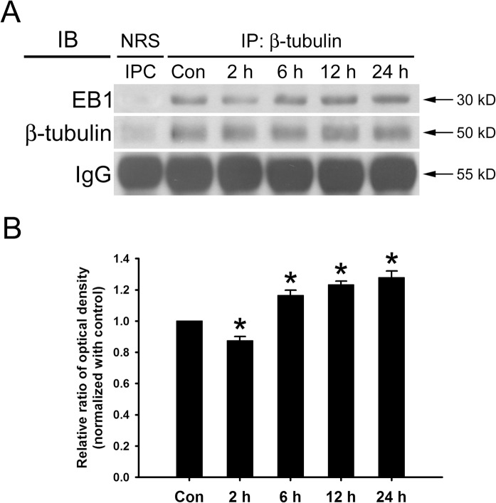 Fig 5