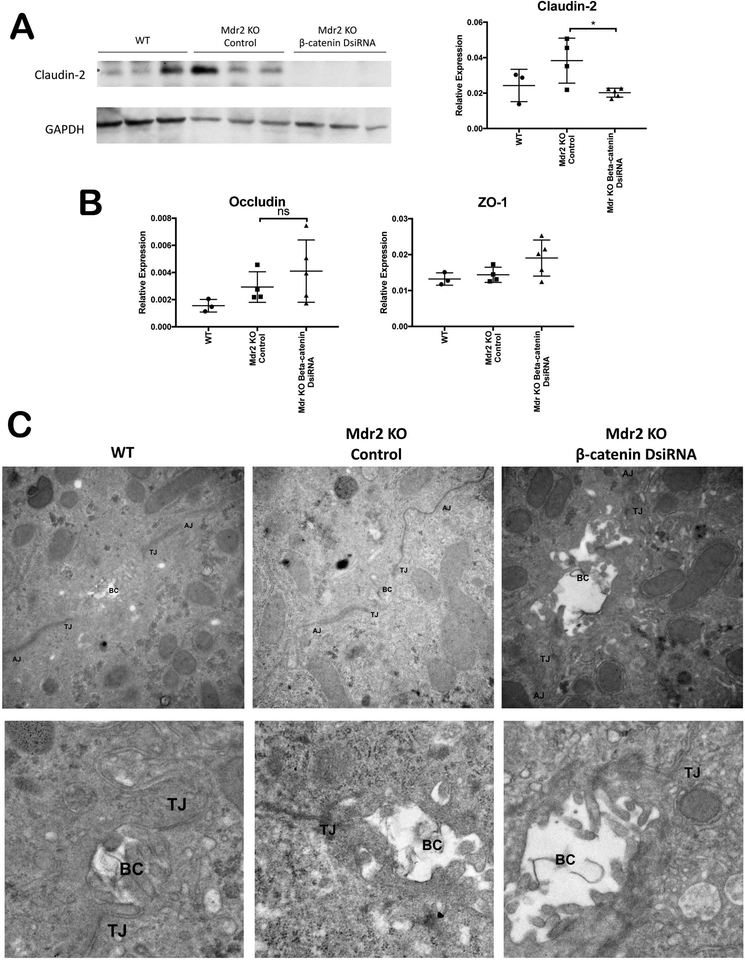 Figure 5: