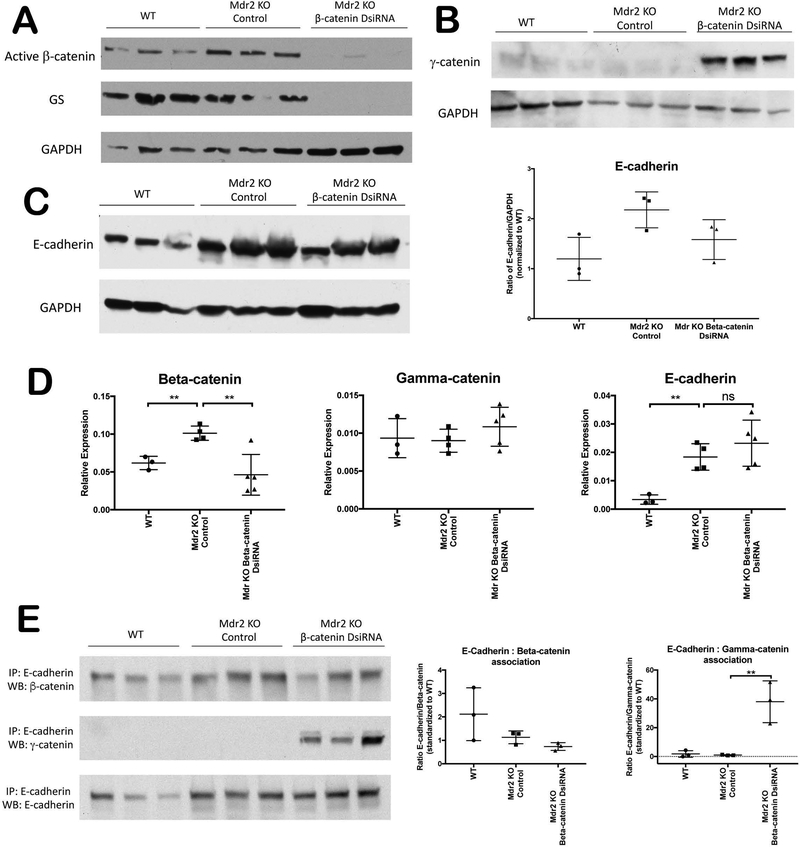 Figure 4: