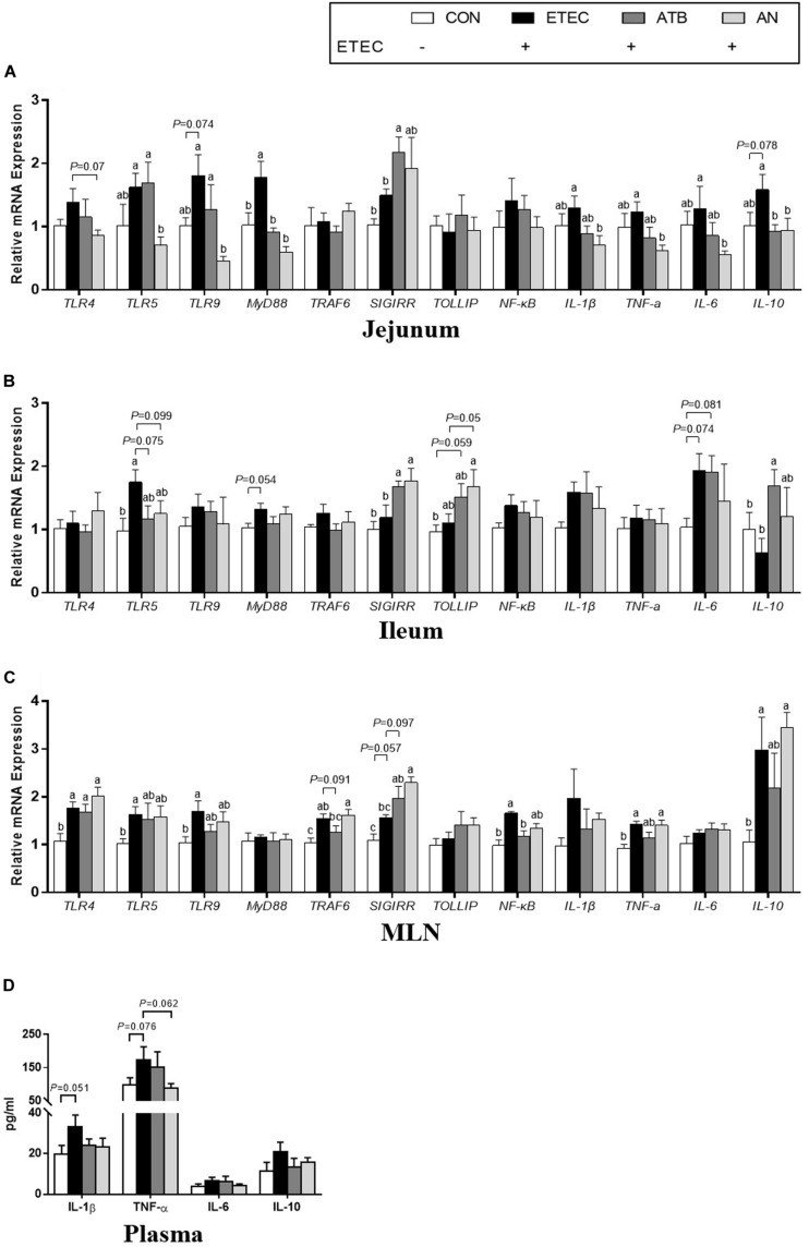 FIGURE 3