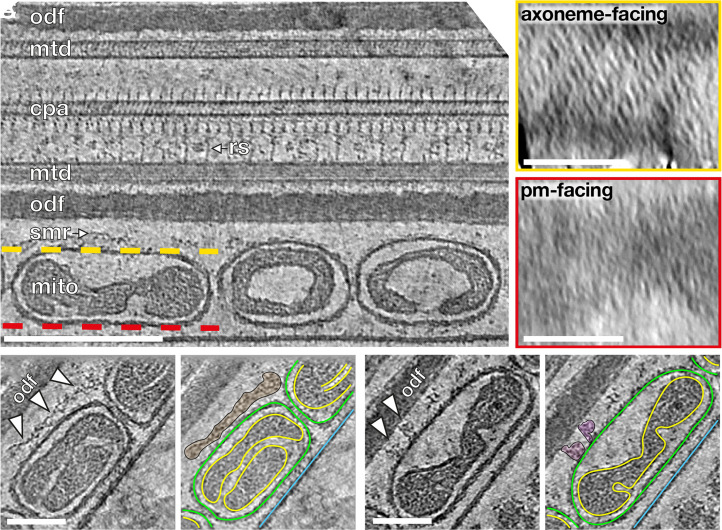 Fig. 2.