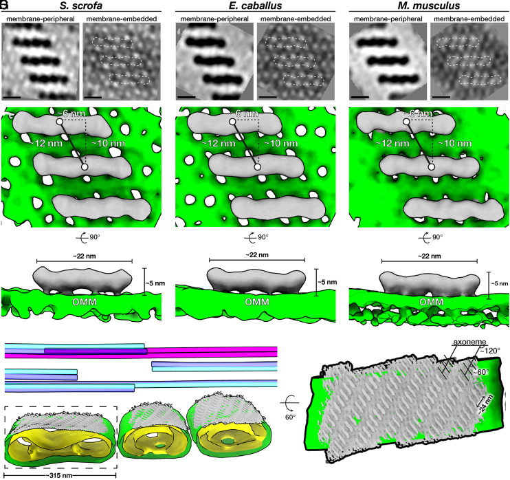 Fig. 3.