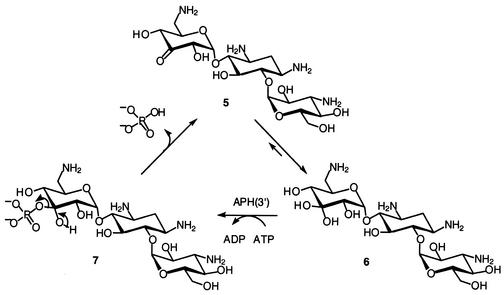 FIG. 6.