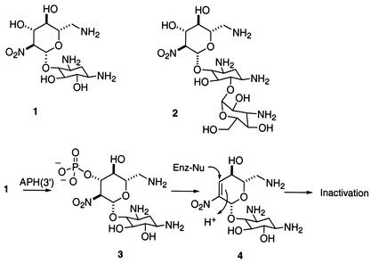 FIG. 5.