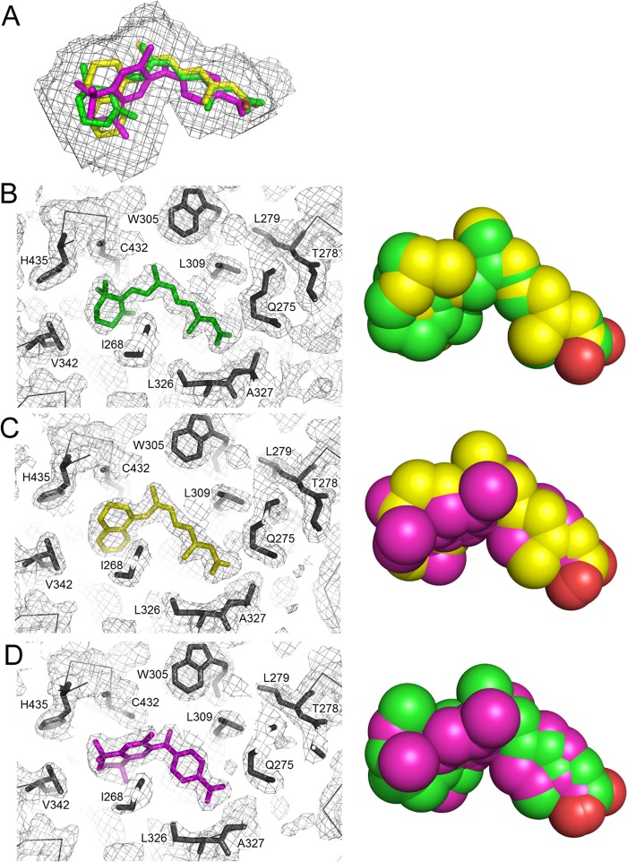 FIGURE 5.