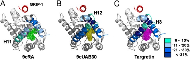 FIGURE 7.