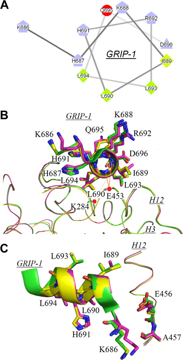 FIGURE 3.