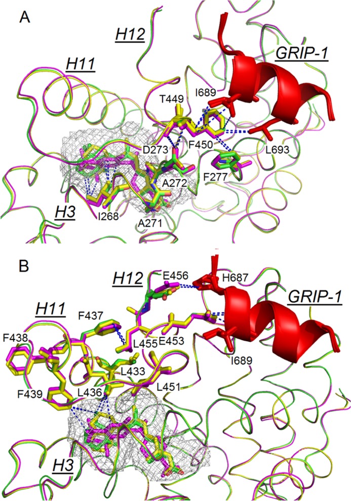 FIGURE 4.